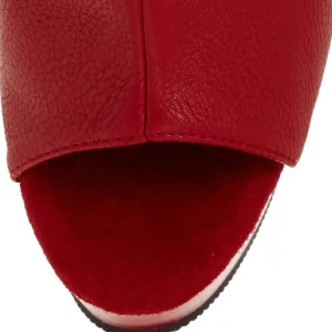 Rouge Mat 15 cm DELIGHT-1018 Plateforme Bottines